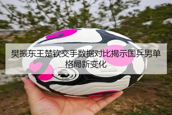 樊振东王楚钦交手数据对比揭示国乒男单格局新变化